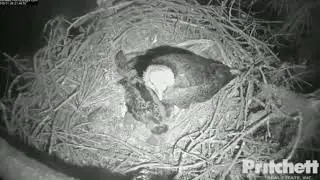 1/26/19 SWFEC ~ M15 Gets Knocked Off Branch