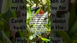 #nature #faith #love #prayer #god #believe #prayer #life #godsplan #godslove #godiswithyou