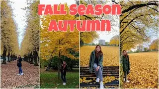 AUTUMN IN DENMARK