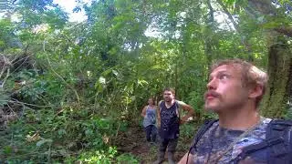 Amazon Jungle Hike to lookout point in Shiripuno Lodge, Ecuador