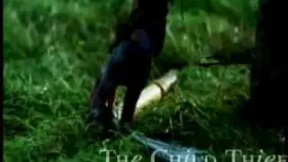 &alpha;&nu;&alpha;ℓ&sigma;&eta; [The Child Thief RPG]