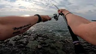 Major Craft Flatrek 5G FR5-1082MH so far + bonus catch on top water :)
