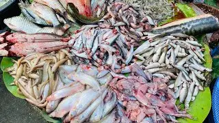 Early Morning Market in Phnom Penh, Cambodian Routines Food & Lifestyle : Cambodian Food Vlogs 2024