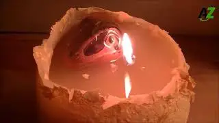 Hatching Dinosaur Candle