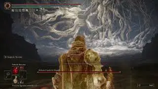 Ayudando contra malenia con build de fuego