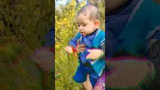 phoolo sa chehra tera🌾🌾 #viral #cutebaby #baby #nancy #shortvideos