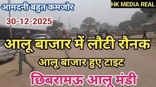 30-12-2025- आलू बाजार में लौटी रौनक, बाजार में हुआ सुधार, आमदनी बहुत कमजोर छिबरामऊ आलू मंडी