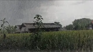 Eternal Rain Ambience &mdash; Timeless Sounds for Stress Relief