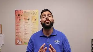 Tips to Protect Yourself from Stinging Insects