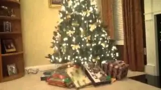 X-mas eve special l oh x-mas tree