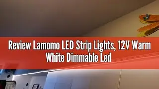 Review Lamomo LED Strip Lights, 12V Warm White Dimmable Led Light Strips, 16.4ft/5m Waterproof LED N
