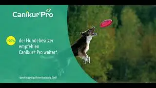 Canikur&reg; Pro f&uuml;r die Unterst&uuml;tzung der nat&uuml;rlichen Darmflora bei Hunden und Katzen