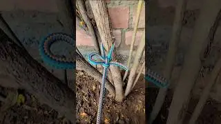 Easy knot Everyone should know #knot #gtknot #camping #rope #diy #hooknsling