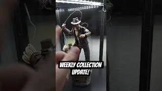 WEEKLY COLLECTION UPDATE!| Indiana Jones #hottoys #collection #starwars #marvel #toys #actionfigures