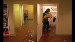 Allphase Restoration | Columbus Ohio Mold Remediation Companies