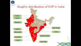 EHP | Transmission, definition and prevention and control measures | shrimp farming | shrimp pond