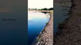 Perfect frog🐸 casting #noor #fishing #fishingequipment #shorts