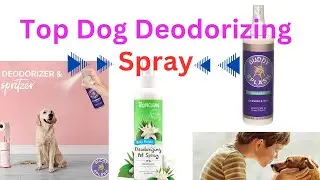 top Dog Deodorizing Spray In 2023 Review & Buying Guides