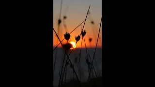 The most amazing SUNSET in the world #shorts #menorca #aerdevacanta
