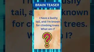 Animal riddles #brain #braingames #quiz #riddleswithanswers #education #shorts