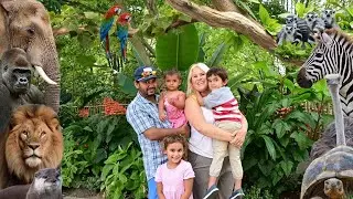 Exploring America Zoo in Hindi 🇺🇸 | Amazing Animals Vlog | USA Travel Vlog Hindi