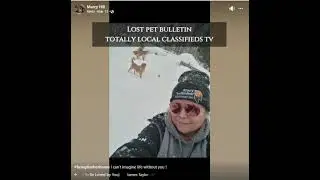 Help Us Find TIMBER from Totally Local Classifieds TV  Toronto