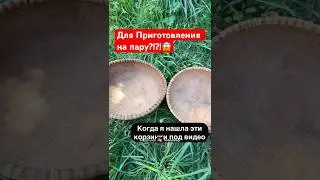 Нельзя верить комментариям?!?!? #шопобакам #топ #обзор #обзорнабак