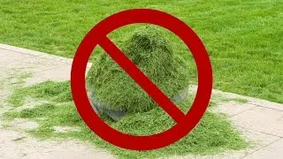 Is it safe to feed horses lawn clippings?