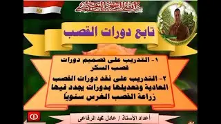 تابع دورات القصب