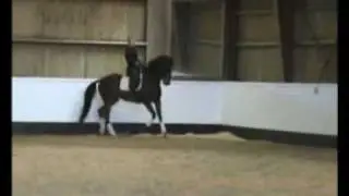 Come Back After 8. from Stald Danhorse