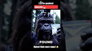 Bigfoot finds more booger sugar! 😂 #memes #shorts #ai #bigfoot