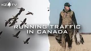 Running Traffic In Canada (Alberta Ducks and Geese) K Zone TV: Alberta Season 3: Episode 3