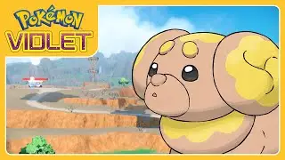 SHINY REACTION (avec Alonokee) - P&acirc;tachiot random mais raccord