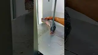 small rohu fish fast cutting amazing skills video #shortsvideo #fish #shortvideo #shorts