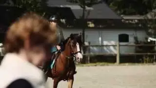 Het Ruiterbewijs, onmisbaar voor iedereen die paardrijdt!
