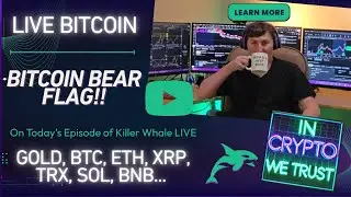 Killer Whale Live Bitcoin, Ethereum, Solana, XRP, TRX, BNB, PAXG and Stock Analysis!!