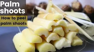 Traditional Village Food | How to peel palm shoots |అద్భుతమైన ప్రయోజనాలు ఉన్న తాటి తెగలు |