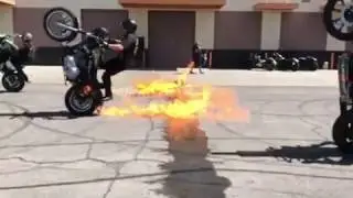 Harley Triple Wheelie on Fire 🔥