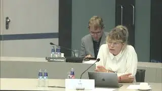 Bette Dam addresses the Dutch Parliament in a hearing about Afghanistan.