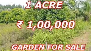 1 ACRE MANGO GARDEN FOR SALE |PER ACRE ₹ 2,64,000 LOW COST PROPERTY | BUY AND SELL WITH DUDDU