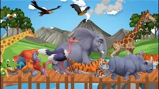 Animal Sounds Song 🎶 Fun Animal Sounds in the Volcano Island 🦁🐘🐵 Best Learning Video for Toddlers