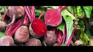 Beetroot jam recipe, how to make beetroot jam at home in hindi चुकंदर का जैम बनाने की आसान बिधी हिंद