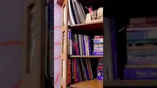 //Bookshelf Tour //My small library