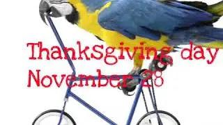 Thanksgiving Bird Boarding 2019