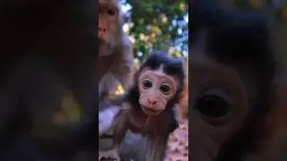 Awesome Lovely Cute Baby Aubrey