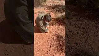 Native American Stone Tools! ⚠️Done On Private Property⚠️