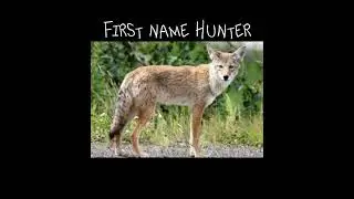 #therian #edit #furry #capcut #coyote #huntergray10