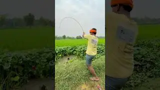 Unique hook fishing village boy in the mud canal using hooks #fishingtechniques #shorts #bass #fish