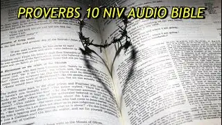 PROVERBS&nbsp;10 NIV AUDIO BIBLE(with text)