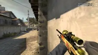 GuardiaN AWP MONSTER